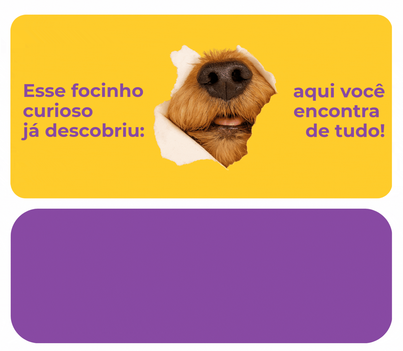 Banner Focinho - Principal - Mobile