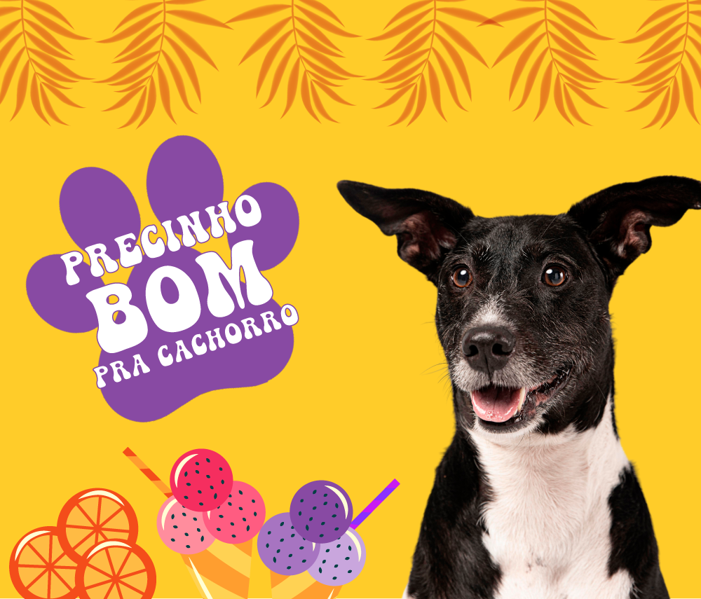 Banner lateral direita vitrine home