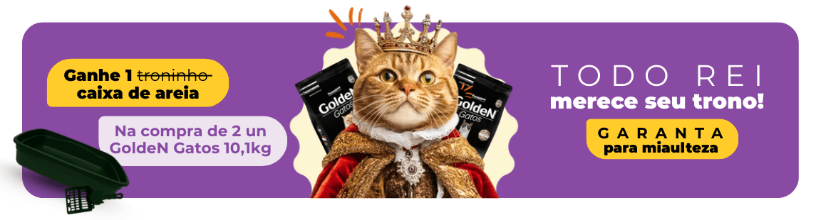 brinde-golden-gatos-10