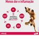 Anti-inflamatório para Cães Galliprant 100mg