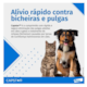 Antipulgas Capstar para Cães e Gatos de até 11kg - 11mg