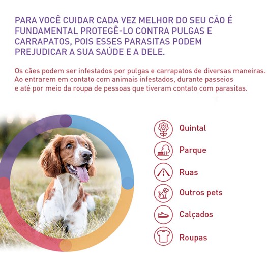 Antipulgas e Carrapatos Bravecto para Cães > 4,5-10kg 250mg MSD
