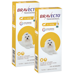 Antipulgas e Carrapatos Bravecto Transdermal MSD para Cães 2 a 4,5kg