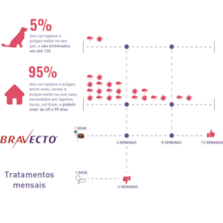 Antipulgas e Carrapatos Bravecto Transdermal MSD para Cães 2 a 4,5kg