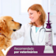 Antipulgas e Carrapatos Ceva Vectra 3D para Cães de 1,5 a 4Kg