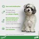 Antipulgas e Carrapatos Elanco Credeli 450 mg para Cães