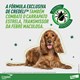 Antipulgas e Carrapatos Elanco Credeli Para Cães de 2,5 a 5,5 Kg