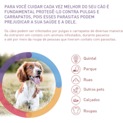 Antipulgas MSD Bravecto Transdermal para Gatos de 1,2 a 2,8 Kg