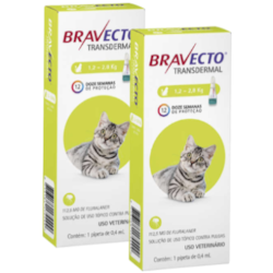 Antipulgas MSD Bravecto Transdermal para Gatos de 1,2 a 2,8 Kg