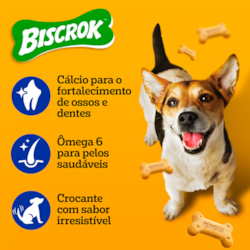 Biscoito Pedigree Biscrok Mini para Cães Adultos de Raças Pequenas Biscoito Pedigree Biscrok Mini para Cães Adultos de Raças Pequenas