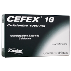 Cefex