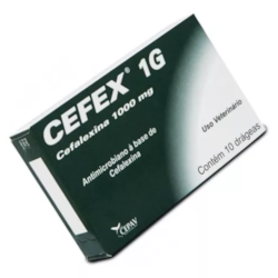 Cefex