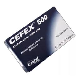 Cefex