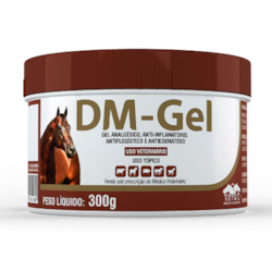 Dm Gel Vetnil 300g