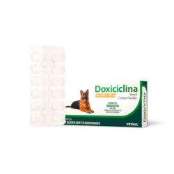 Doxiciclina Vetnil 100 mg 14 Comprimidos | Para Cães e Gatos