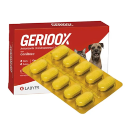 Gerioox Labyes