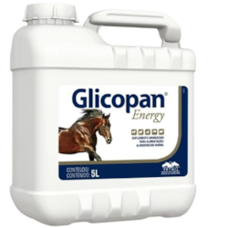 Glicopan Energy refil 5L - VETNIL