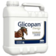 Glicopan Energy refil 5L - VETNIL