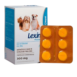 Lexin 300mg Cartela 6 Unid