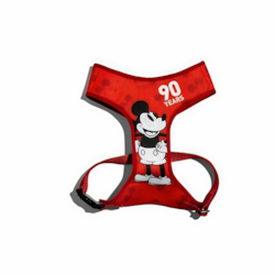 PEITORAL MESH PLUS MICKEY 90 YEARS - G