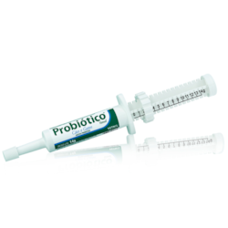 Probiótico Vetnil Cães e Gatos 14g