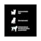 Ração Equilíbrio Yorkshire para Cães Adultos de Porte Mini Sabor Frango