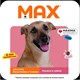 Ração Max para Cães Adultos de Porte Médio e Grande