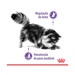 Ração Royal Canin Controle do Apetite para Gatos Adultos