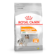 Ração Royal Canin Mini Coat Care 2,5kg - Cuidados com a Pelagem