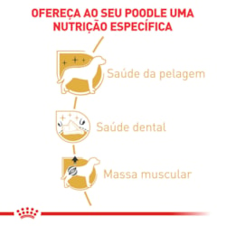 Ração Royal Canin para Cães Adultos da Raça Poodle