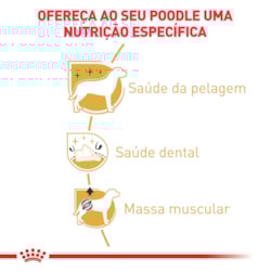 Ração Royal Canin para Cães Adultos da Raça Poodle