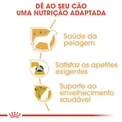 Ração Royal Canin para Cães Adultos da Raça Yorkshire