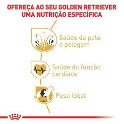 Ração Royal Canin para Golden Retriever Adulto