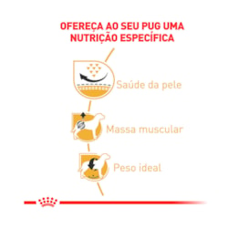 Ração Royal Canin Pug para Cães Adultos