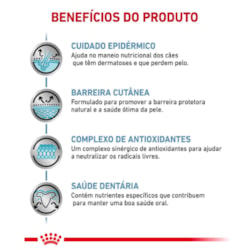 Ração Royal Canin Skin Care Adultos de Raças Pequenas