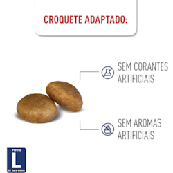 Ração Seca Royal Canin Maxi Adult para Cães Adultos de Porte Grande 12 Kg