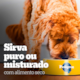Ração Úmida Pedigree Lata Patê de Frango para Cães Adultos 280g