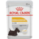 Ração Úmida Royal Canin Dermacomfort Wet 85g