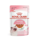 Ração Úmida Royal Canin Kitten Jelly Gatos Acima12 Meses 85g