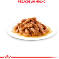 Ração Úmida Royal Canin Sachê Ageing 12+ para Gatos Adultos Acima de 12 Anos 85 g