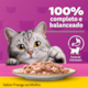 Ração Úmida Whiskas Sachê para Gatos Adultos Sabor Frango ao Molho - 85g