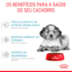 Royal Canin Medium para Cães Filhotes de Porte Médio