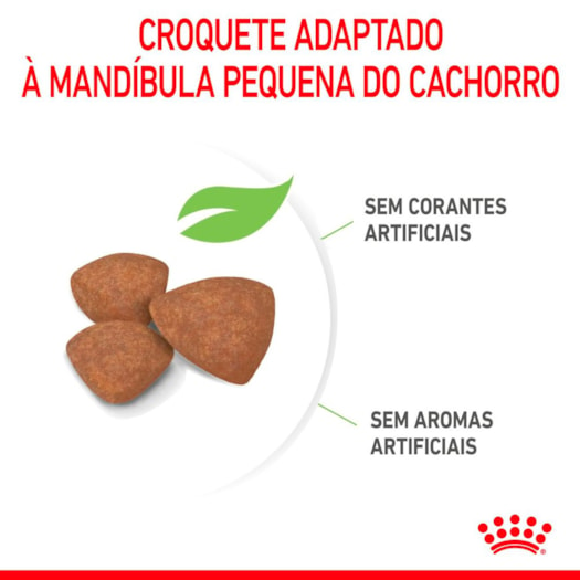 Royal Canin Cão Mini Puppy/ Filhotes Xsmall - 2 a 10 meses -500g