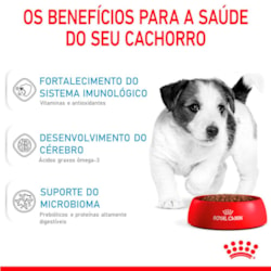 Royal Canin Mini Puppy para Cães Filhotes de Porte Pequeno