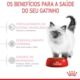 Royal Canin para Gatos Filhotes com Até 12 Meses de Idade