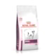 Royal Canin Veterinary Nutrition Renal Small Dogs para Cães Raças Pequenas
