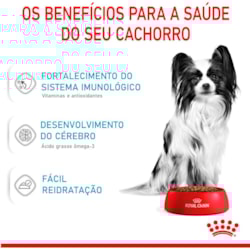 Royal Canin X-Small Junior para Cães Filhotes Royal Canin X-Small Junior para Cães Filhotes