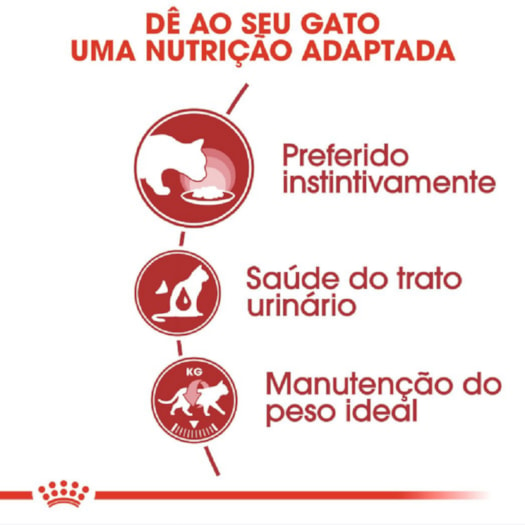 Ração Úmida Sachê Feline Kitten Wet para Gatos Filhotes com até 12 meses da  Royal Canin - 85 g