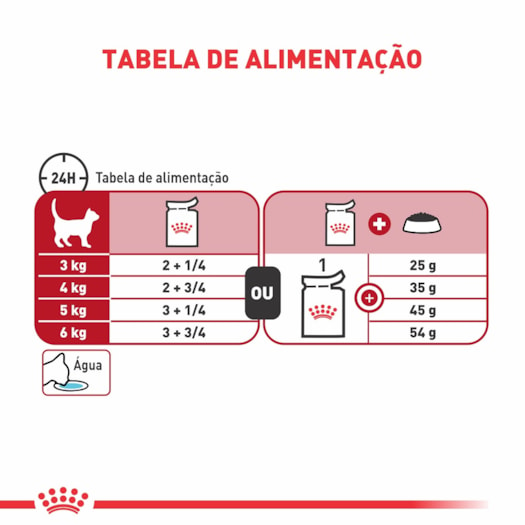 Ração Úmida Sachê Feline Kitten Wet para Gatos Filhotes com até 12 meses da  Royal Canin - 85 g