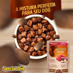 Special Dog Sache Cães Filhotes Sabor Carne 100g 12 Unidades